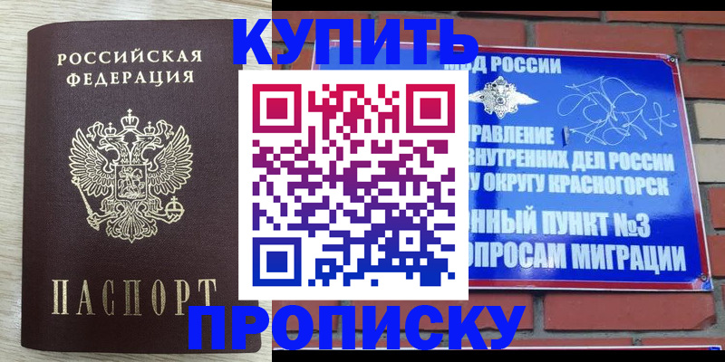 прописка гарантия в Кандалакше
